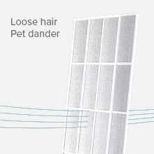 Component 2 cleaans loose hair and pet dander from the filtered air